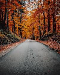 What Is Fall? | Teaching Wiki for Kids ...